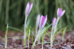 IMG_3941.JPG