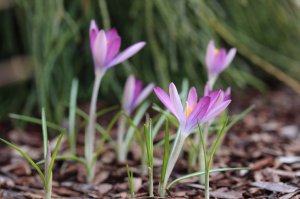 IMG_3912.JPG