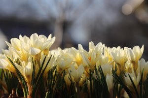 IMG_4133.JPG