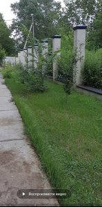 20200718_233911.jpg