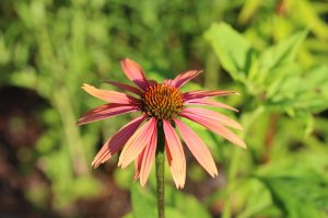 IMG_4157.JPG