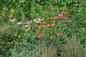 DSC_0819.JPG