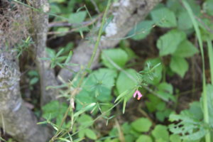 IMG_5934.JPG