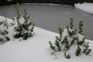 IMG_3873.JPG
