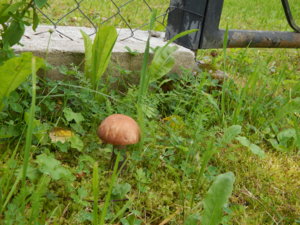 DSCN8940.JPG