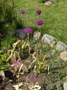 DSCN1316.JPG