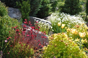 DSC_0405.JPG