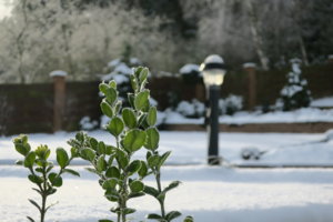 IMG_3998.JPG