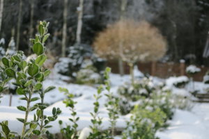 IMG_4000.JPG