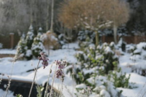 IMG_4003.JPG