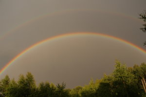 IMG_5253.JPG