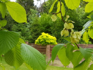 20170604_114736.jpg
