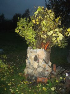 DSCF5860.JPG