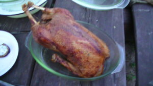 PIC_0475.JPG