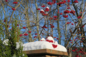 IMG_3961.JPG