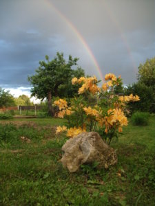 DSCF4976.JPG