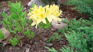 PIC_0385.JPG