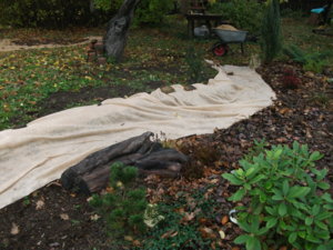DSCF5841.JPG