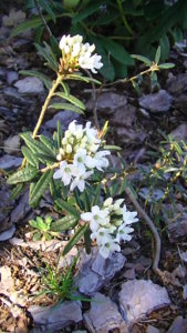PIC_0355.JPG