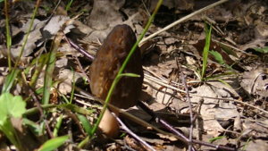 PIC_0338.JPG