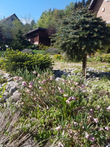 20170520_091359.jpg