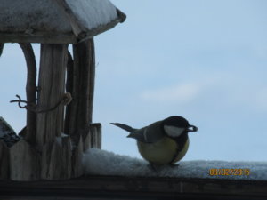 IMG_1569.JPG