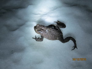 IMG_6151.JPG