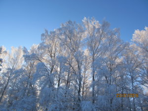 IMG_4317.JPG