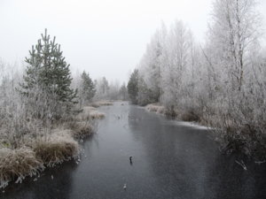 IMG_0971.JPG