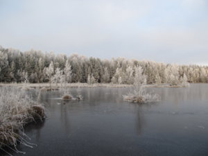 IMG_0995.JPG