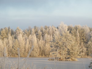 IMG_1052.JPG