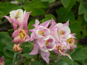 DSCN1681.JPG