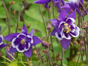 DSCN1686.JPG