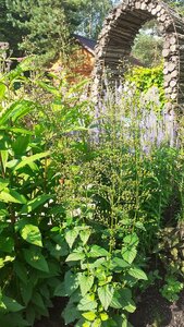 20200727_084603.jpg