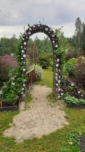 20200806_093512.jpg