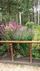 20200806_094922.jpg