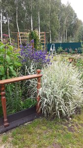 20200806_094925.jpg