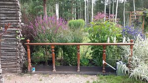 20200815_092004.jpg