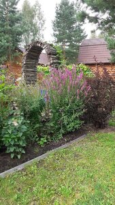 20200815_092119.jpg
