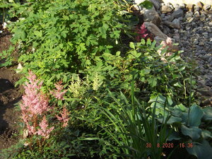 2020.08.30 Уч № 2  _ DSCF9125.JPG