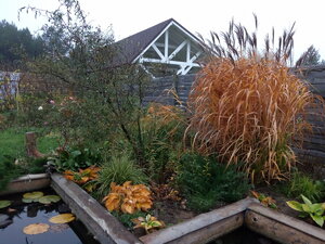 IMG_20201013_073703.jpg