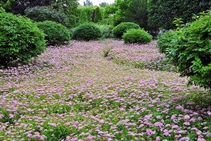 post_854_29548.jpg