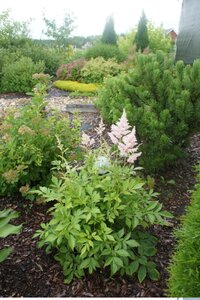19.jpeg