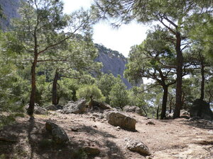 P1040854.JPG