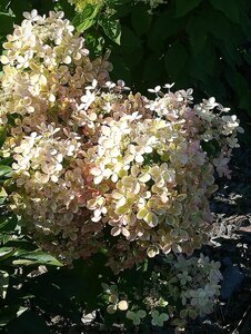 IMG_20210308_215915.jpg