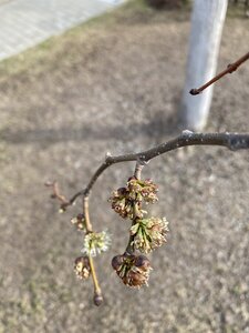 EE09B6DF-C354-48B4-80B1-8BDE8A6D2C21.jpeg