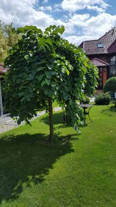 67B01B02-F77C-43CE-BC39-FD27CEB04068.jpeg