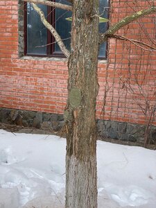 D8CE1EE6-0049-41D0-9935-CCD0B378F61E.jpeg