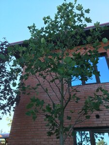 2500C77C-823D-40DE-AD65-EC7550CD4D5A.jpeg