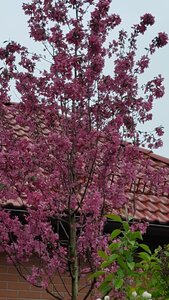 A0506B76-9ED1-4B05-A772-0F412A6C5439.jpeg